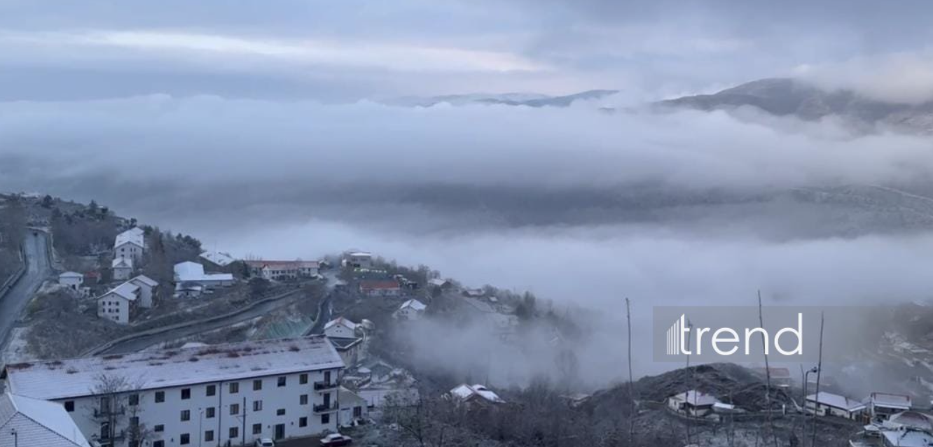Laçına da qar yağır (FOTO)